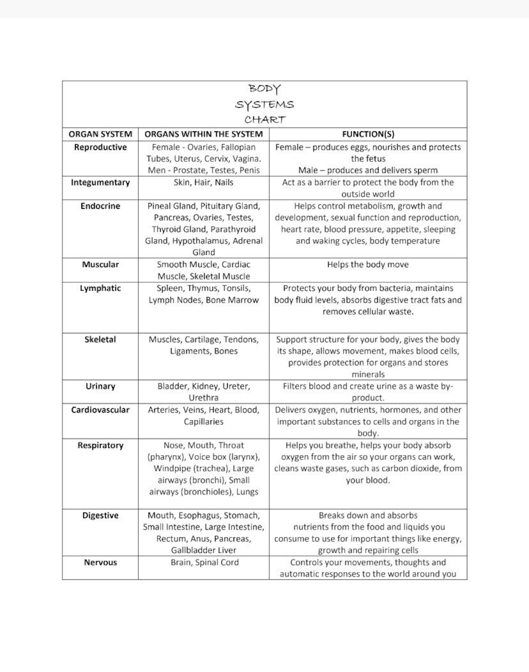 Body Systems Chart Etsy
