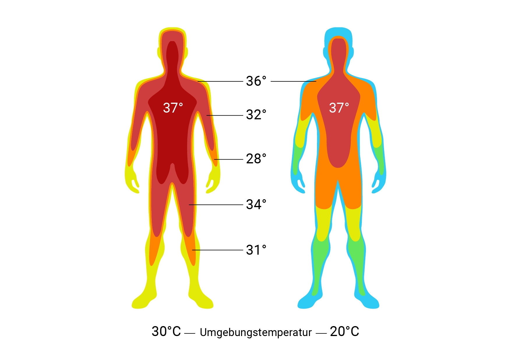 Body Temperature Normal Ranges How To Measure Cosinuss