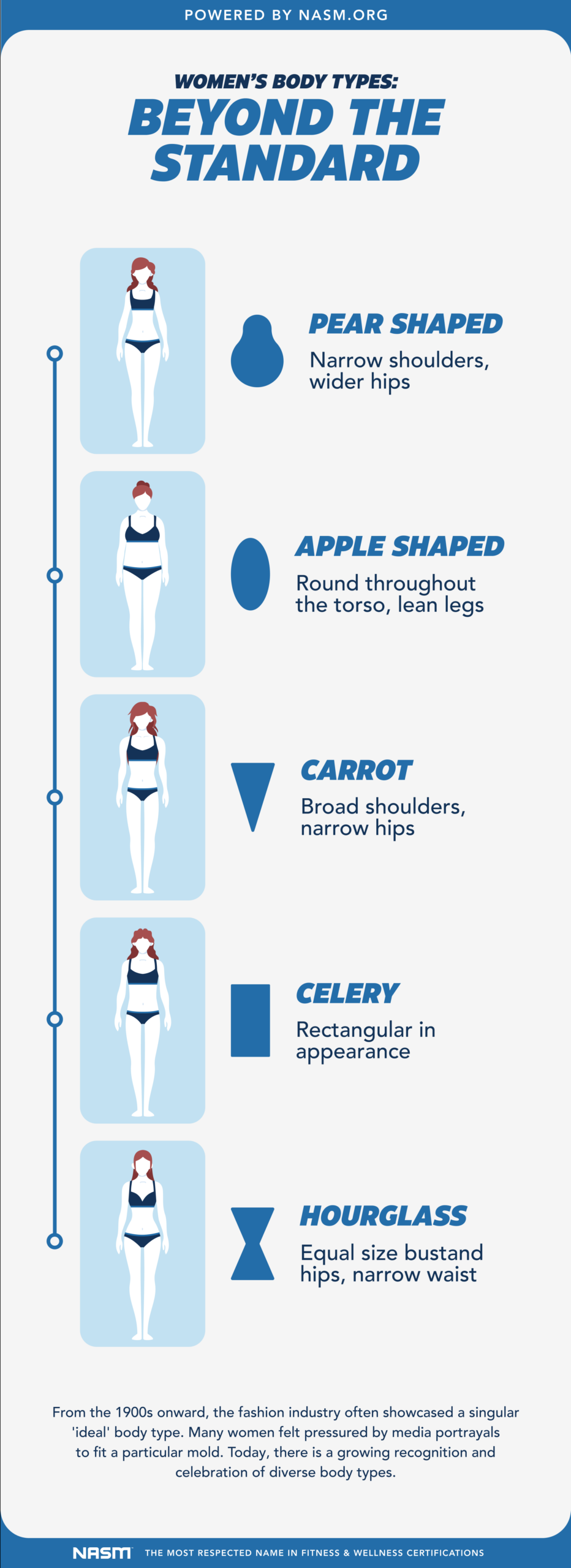 Body Types Mesomorph Ectomorph Endomorph Explained NASM