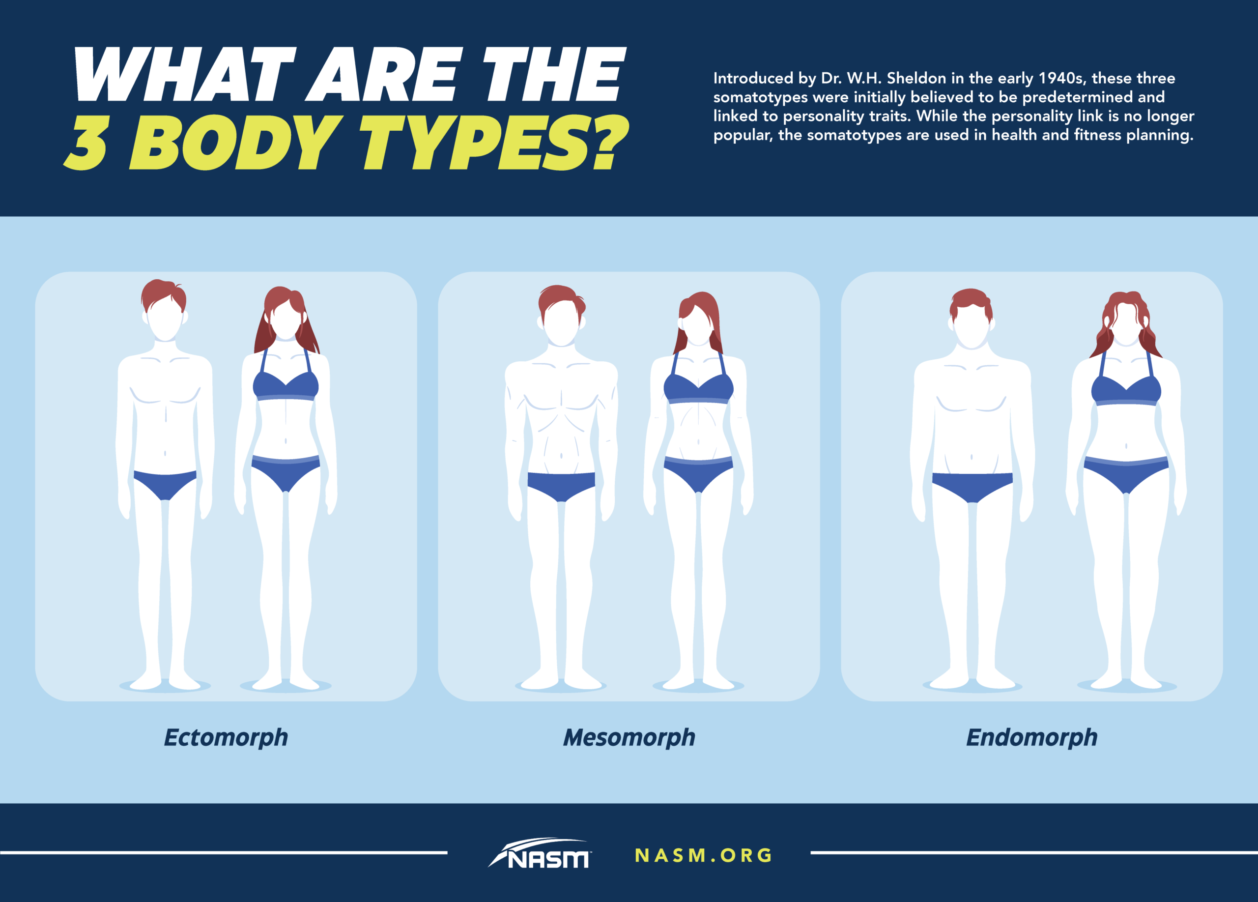 Body Types Mesomorph Ectomorph Endomorph Explained NASM
