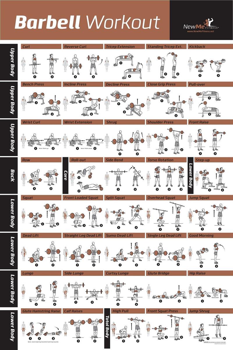 Body Weight Bench Chart BARBELL WORKOUT EXERCISE POSTER LAMINATED Home Gym Weight Lifting Chart Build Muscle