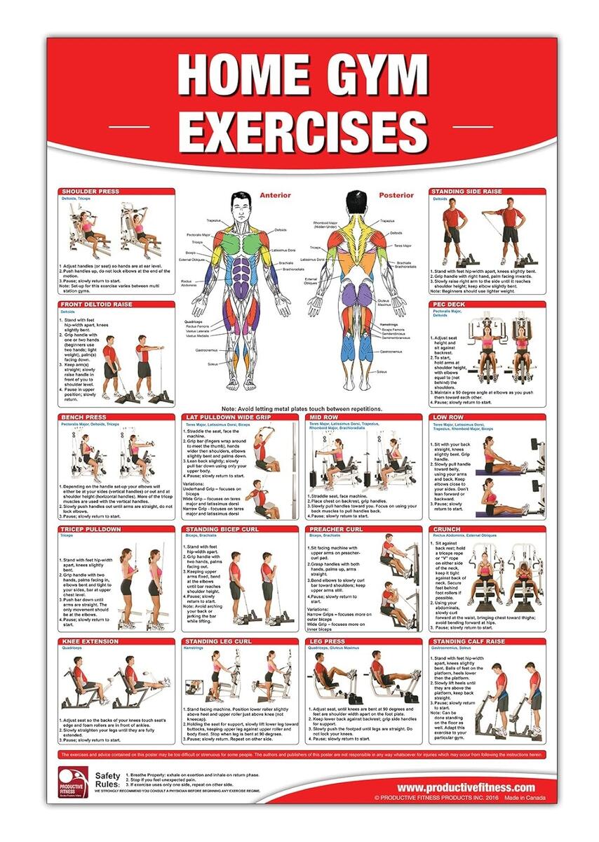 Body Weight Exercise Schedule Chart At Home Chart Full Body Workout Plan Pdf At Home Workout