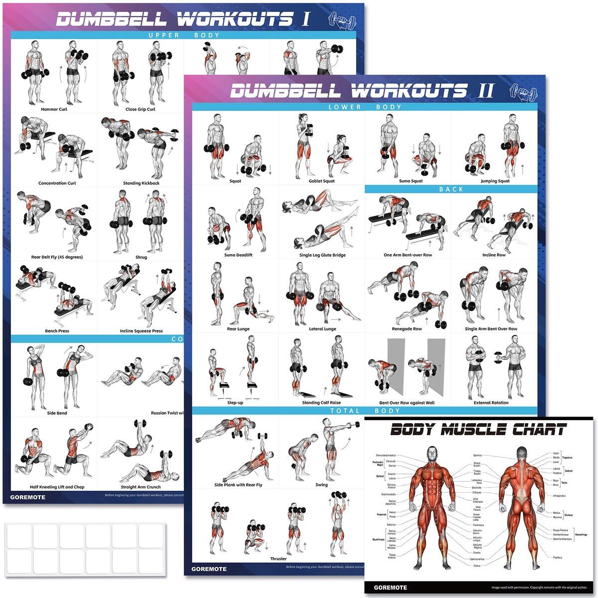 Home Workout Days Workout Plan For Gym Whole Body Workout Routine At Home Muscle Gain Free