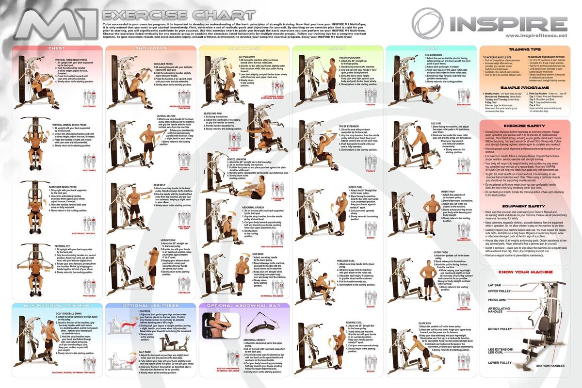 Body Workout Chart Total Gym Back Exercises Printable Total Gym Workout Cards Pdf Laminated Exercise Chart