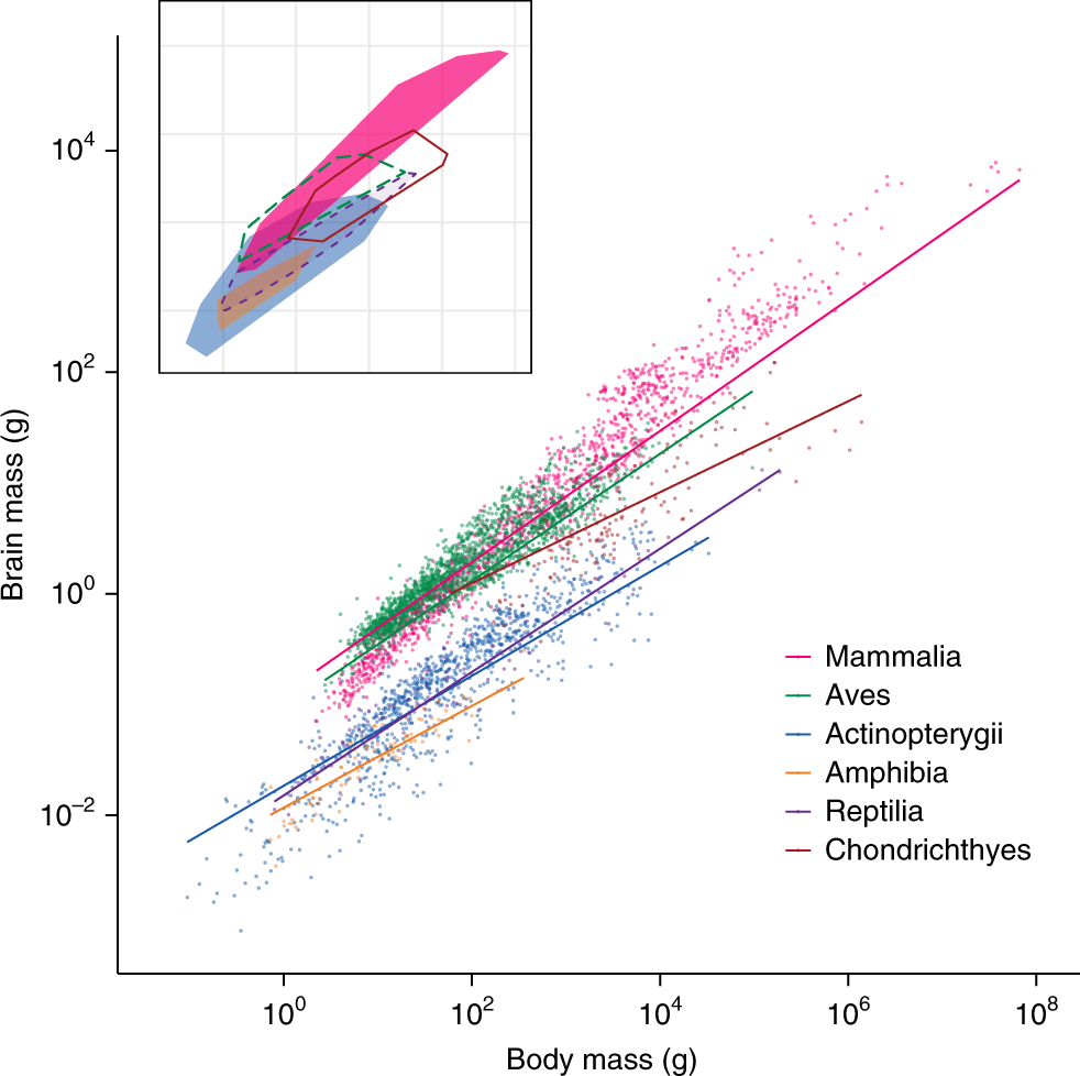 Breakdown Of Brain Body Allometry And The Encephalization Of Birds And Mammals Nature Ecology Evolution