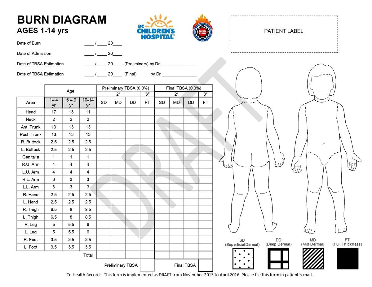 Burn Diagrams Printable CHBC