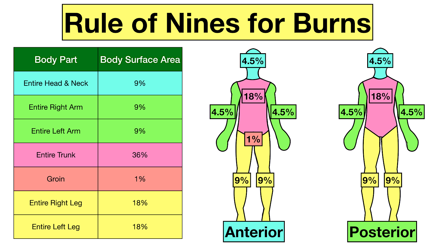 Burns GP Exams