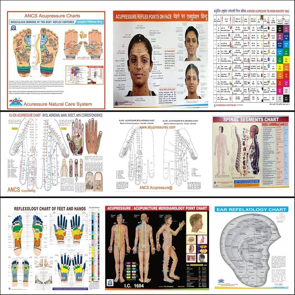 Buy ANCS Alternative Therapy Acupressure Sujok Ayurvedic Ear Face Reflexology Charts Acupuncture Book Online At Low Prices In India ANCS Alternative Therapy Acupressure Sujok Ayurvedic Ear Face Reflexology Charts Acupuncture Reviews