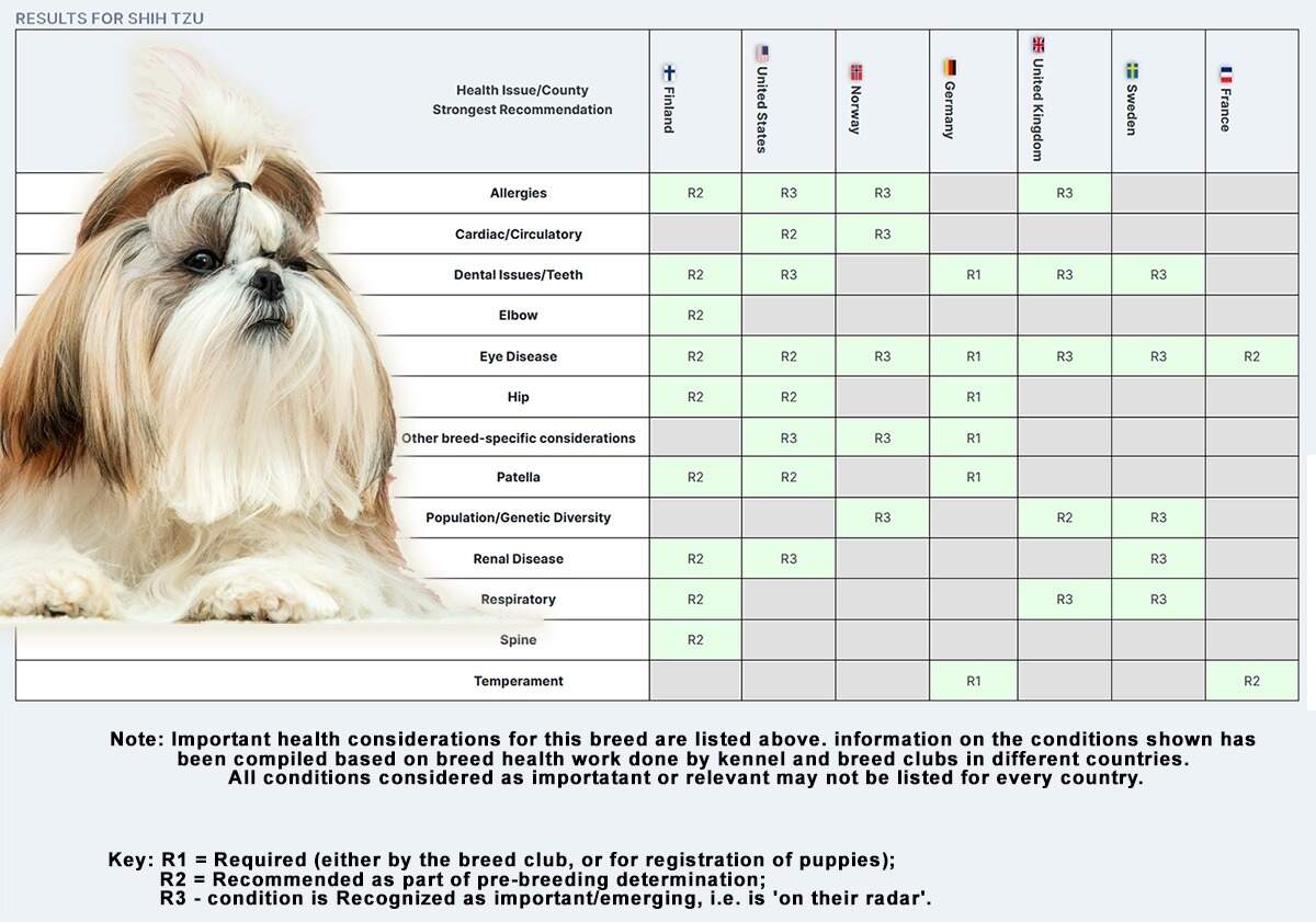Shih Tzu Dog Age Chart In PDF Download Template