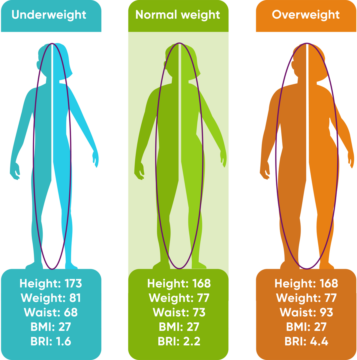 Calculate BRI Body Roundness Index USZ