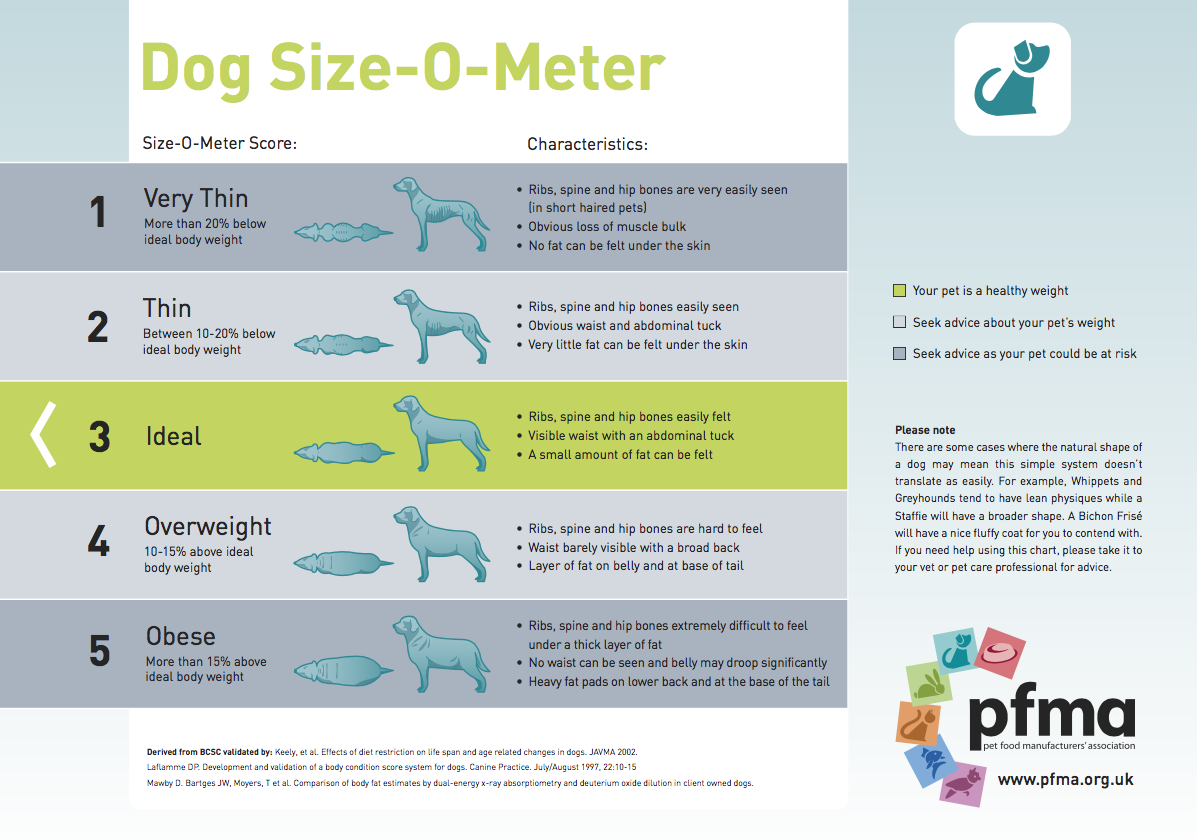 Canine Body Condition Scoring Gwens Choice Dog Food
