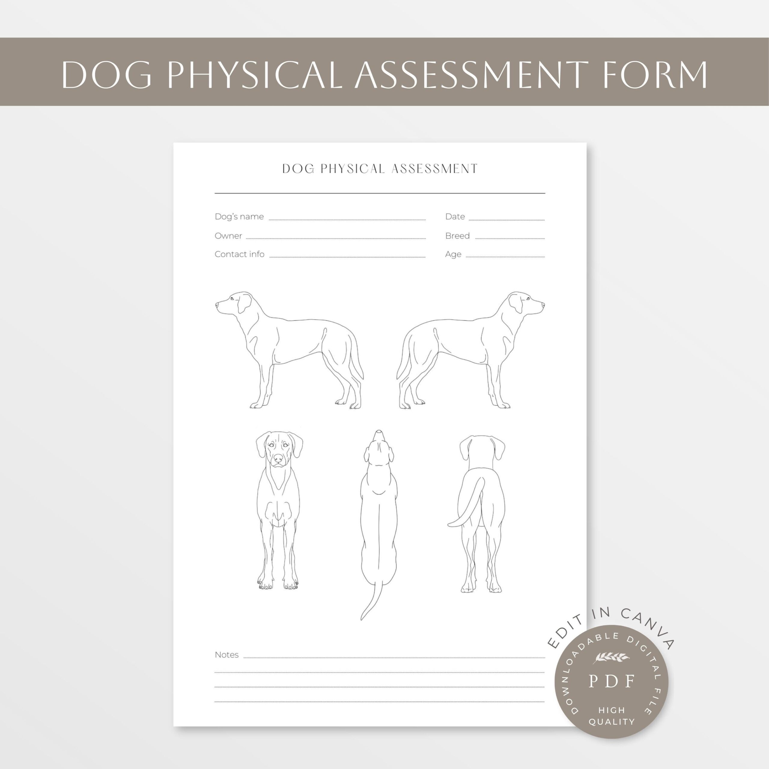 Canine Body Map Etsy Canine Body Map Etsy