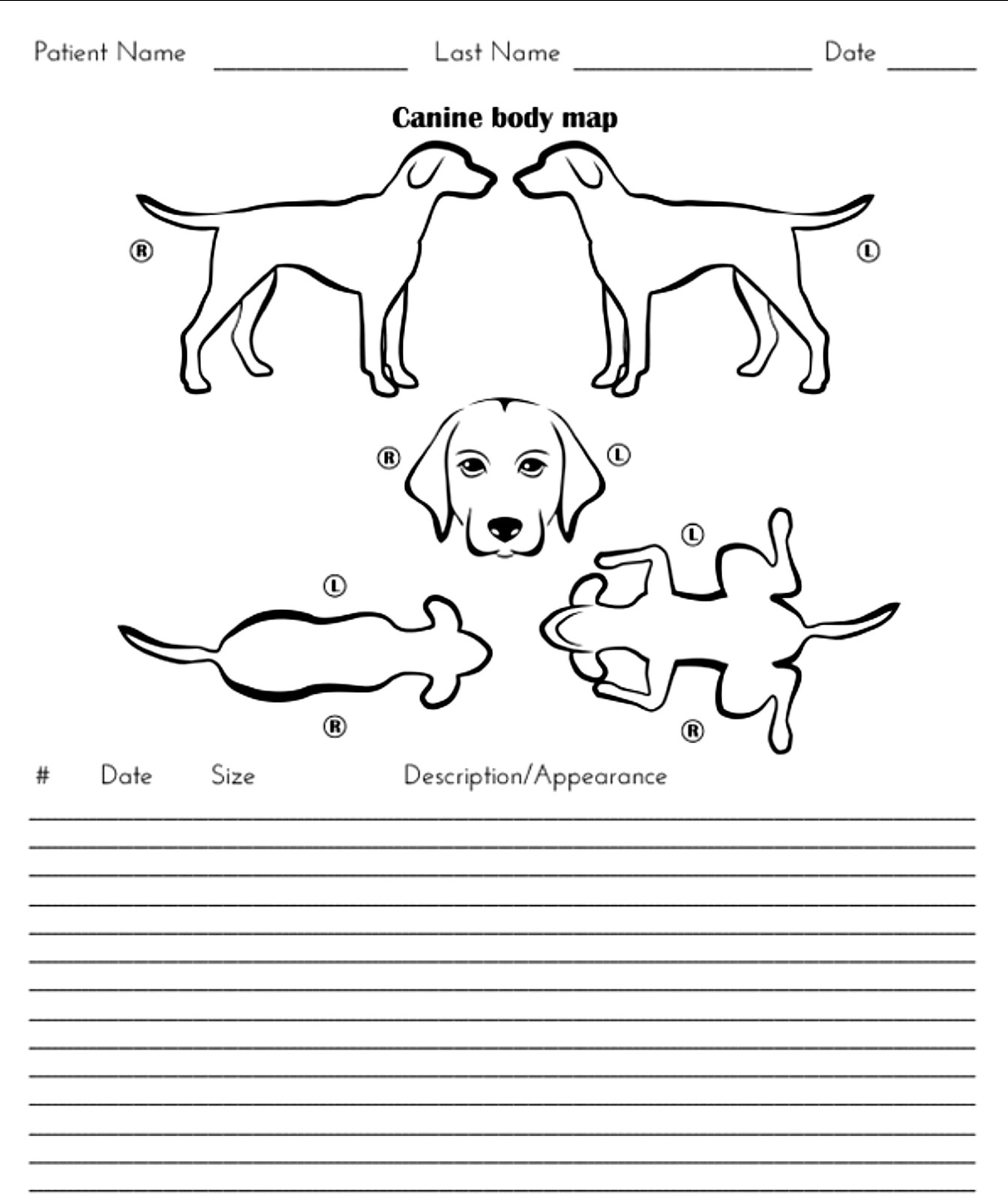 Canine Body Maps Knotty Toys For Good Dogs