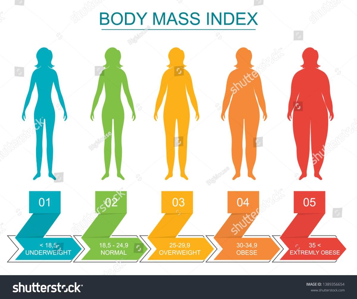 Cartoon Body Mass Index Infographics Concept Stock Vector Royalty Free 1389356654 Shutterstock