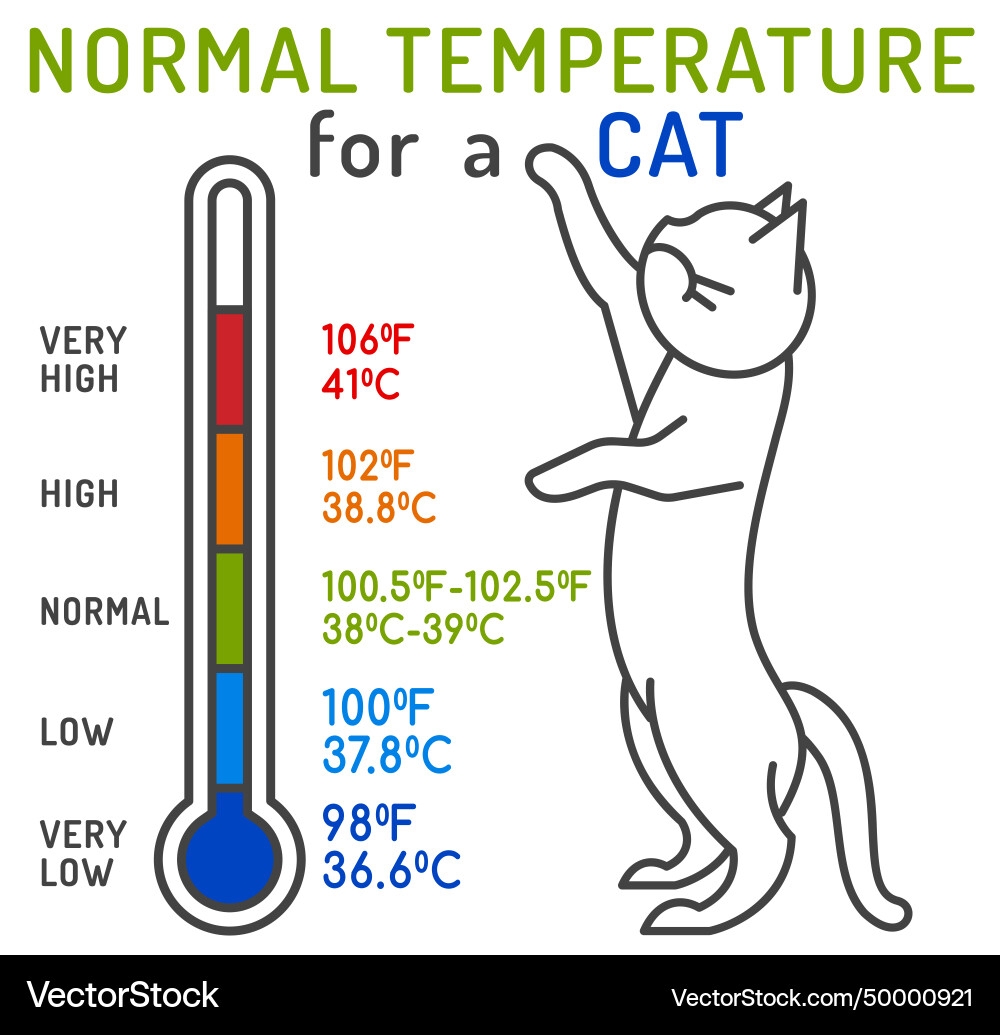 Cat Normal Temperature Chart Royalty Free Vector VectorStock Seeing Different Species Means Having To Know Different Normal Parameters Here S A Quick Guide For You With Normal Body Temperature Ranges For Some Commonly Seen Non Traditional Pets Vetahead Rabbitmedicine Rodentmedicine Avianmedicine