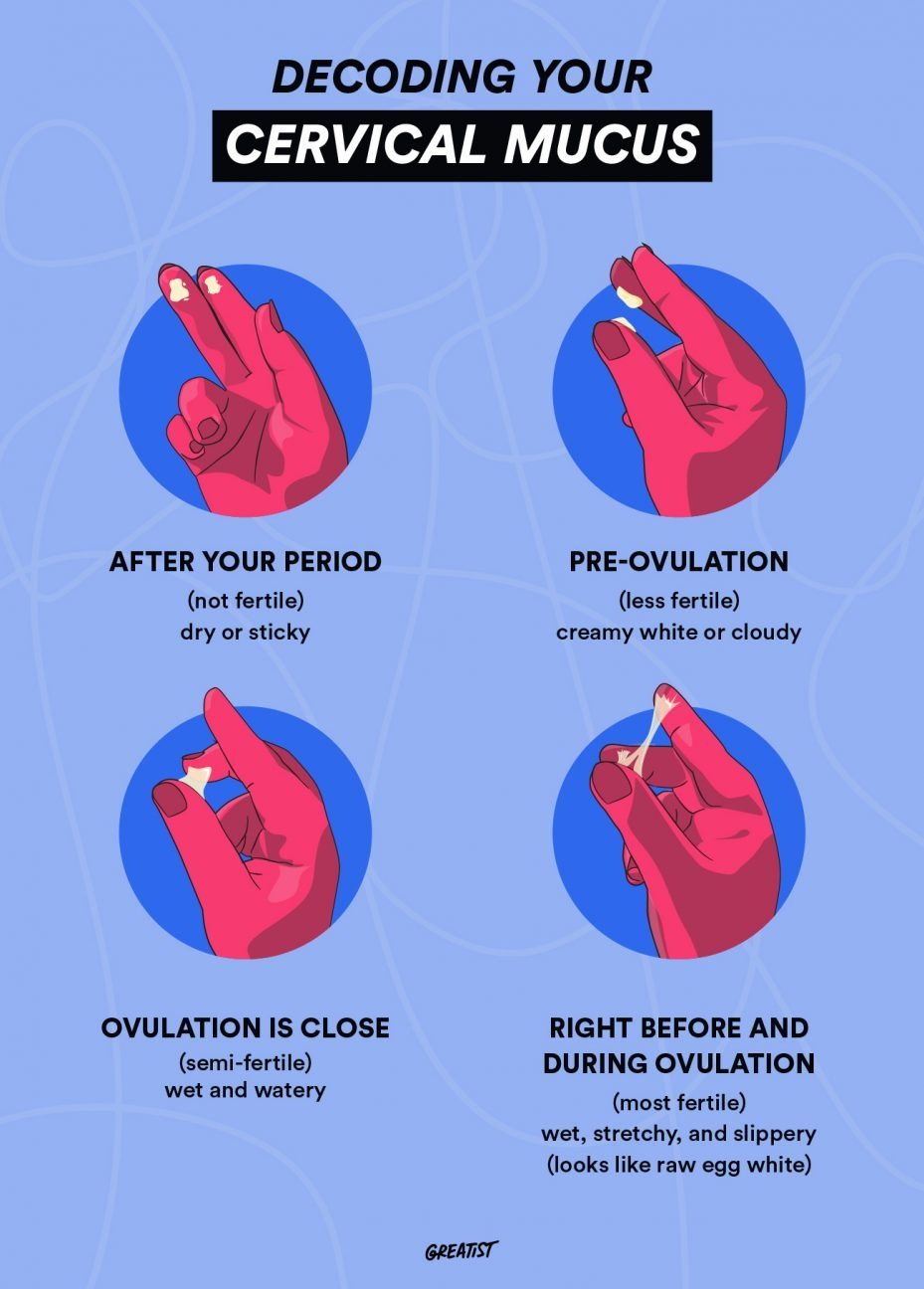 Cervical Mucus Chart Track Your Cycle And Fertility Easily