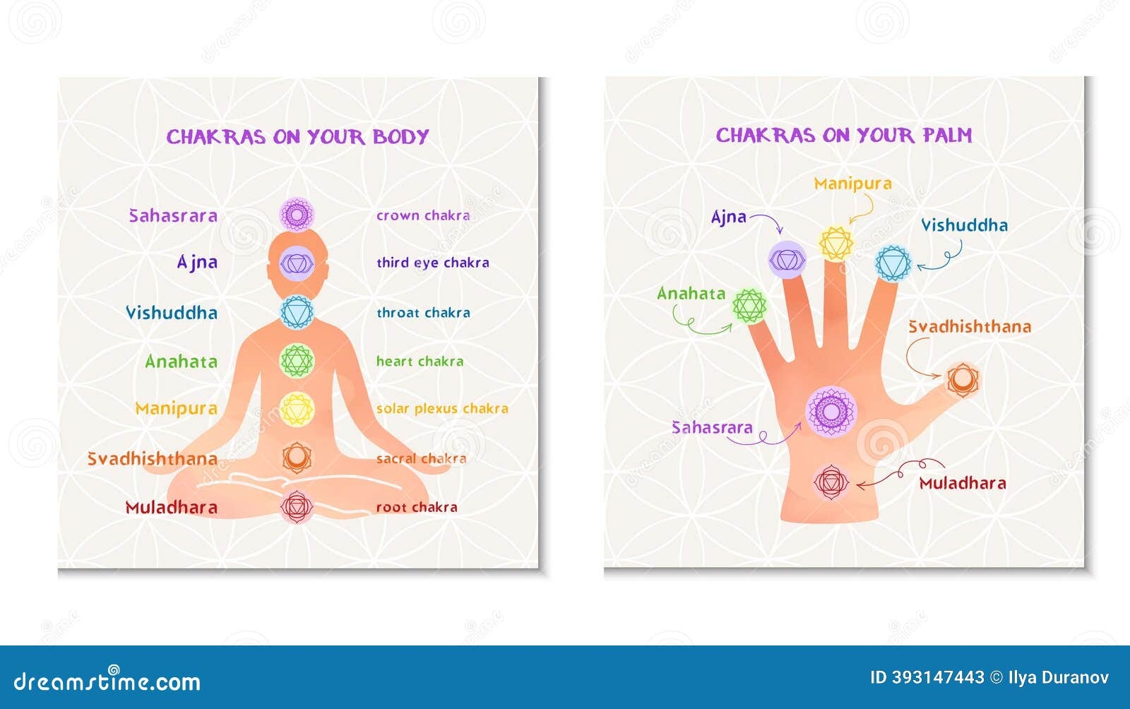 Chakra Chart Illustrations Vectors