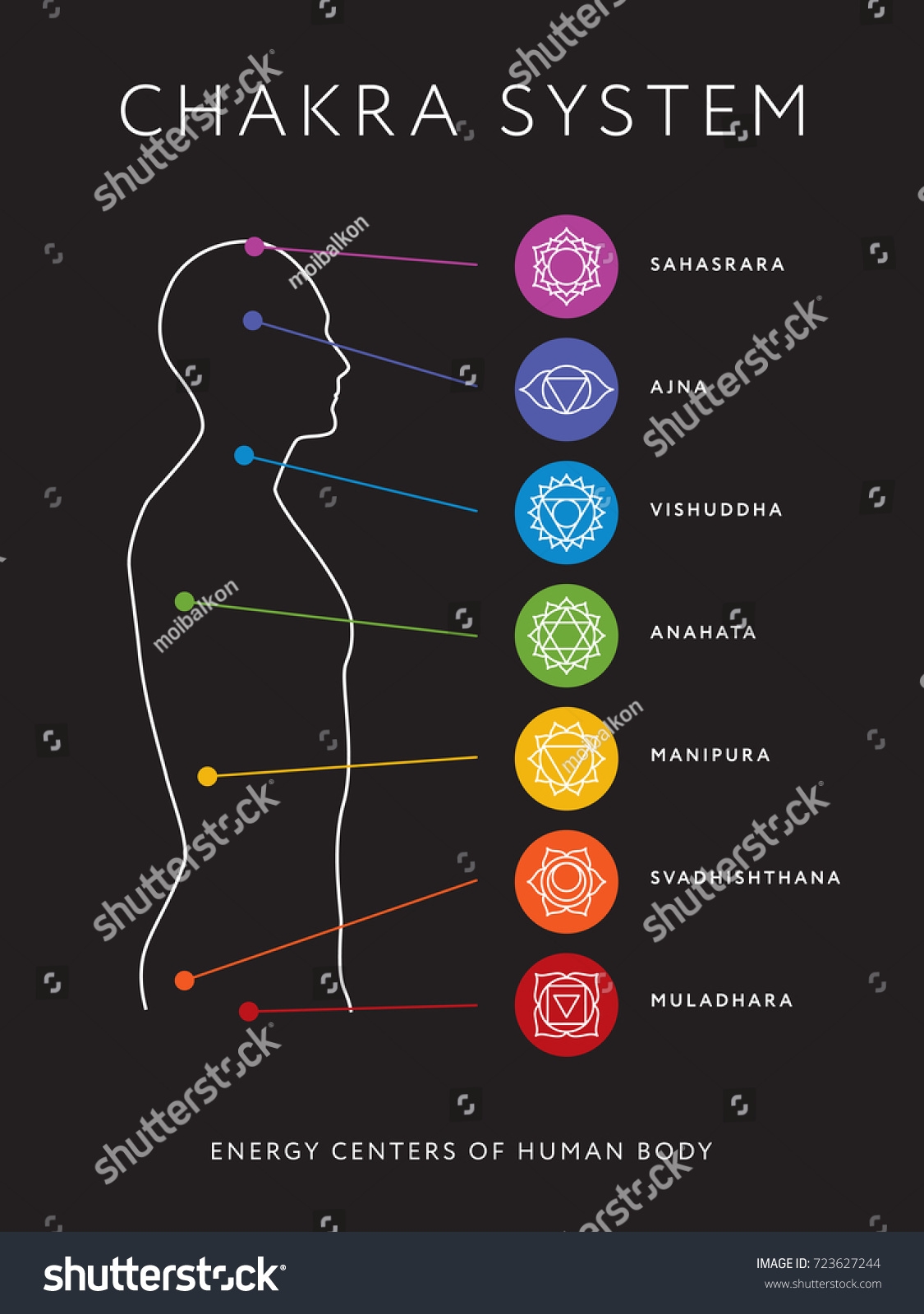Chakra System Human Body Chart Seven Stock Vector Royalty Free 723627244 Shutterstock