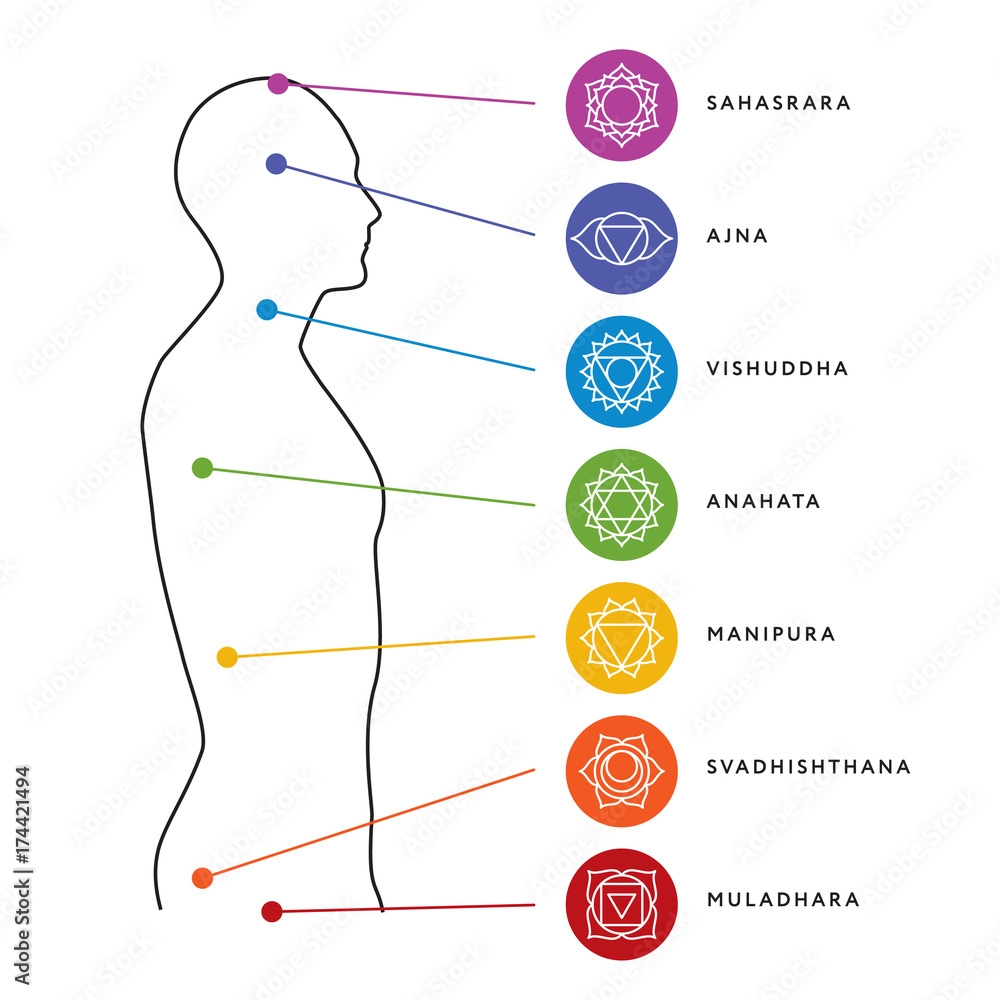 Chakra System Of Human Body Chart Seven Chakra Symbols Location Information Of Each Chakra Chakra Centers Stock Vector Adobe Stock