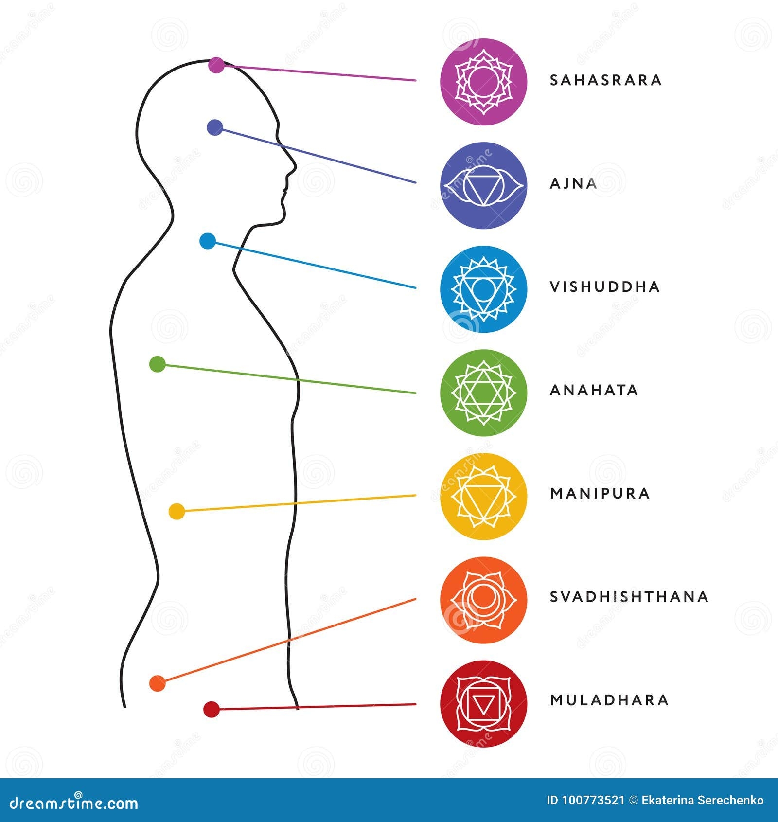Chakra System Of Human Body Energy Centers Stock Vector Illustration Of Meditation Line 100773521