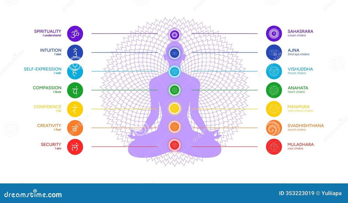 Chakra Chart Illustrations Vectors
