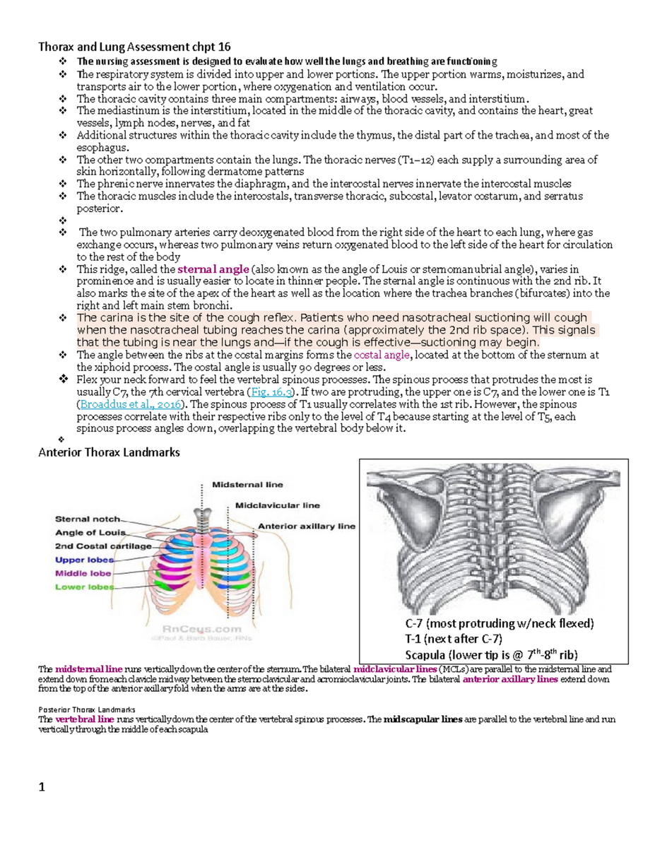 Pleural Effusion Wikipedia