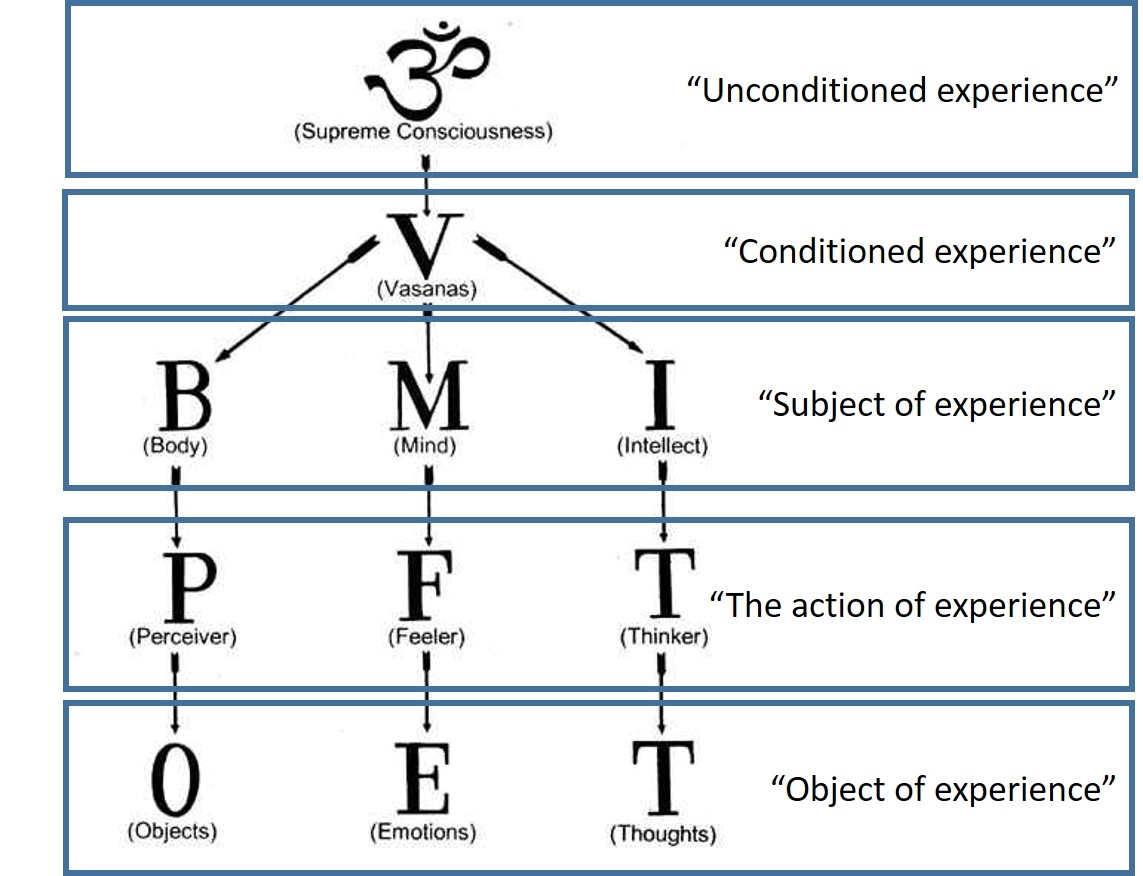 Chapter 5 BMI Body Mind And Intellect