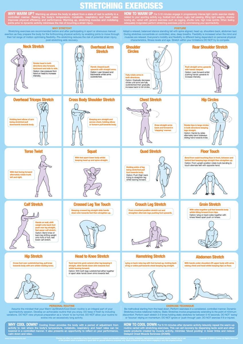 Chart Daily Full Body Stretching Routine Stretching Exercise Poster Warm Up Cool Down Chart Gym Chart Daily Full Body Stretching Routine Stretching Exercise Poster Warm Up Cool Down Chart Gym