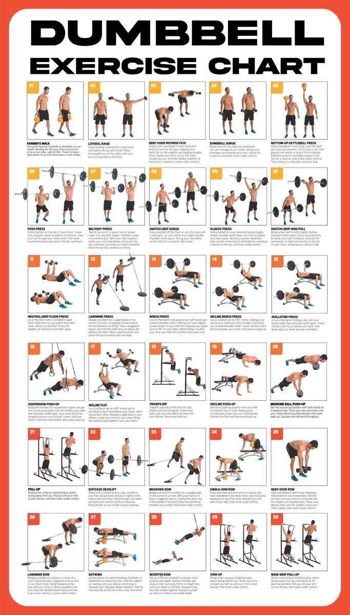 Chart Dumbbell Total Body Workout Pdf Dumbbell Workout Chart Printable Pdf Printable Home Workout With