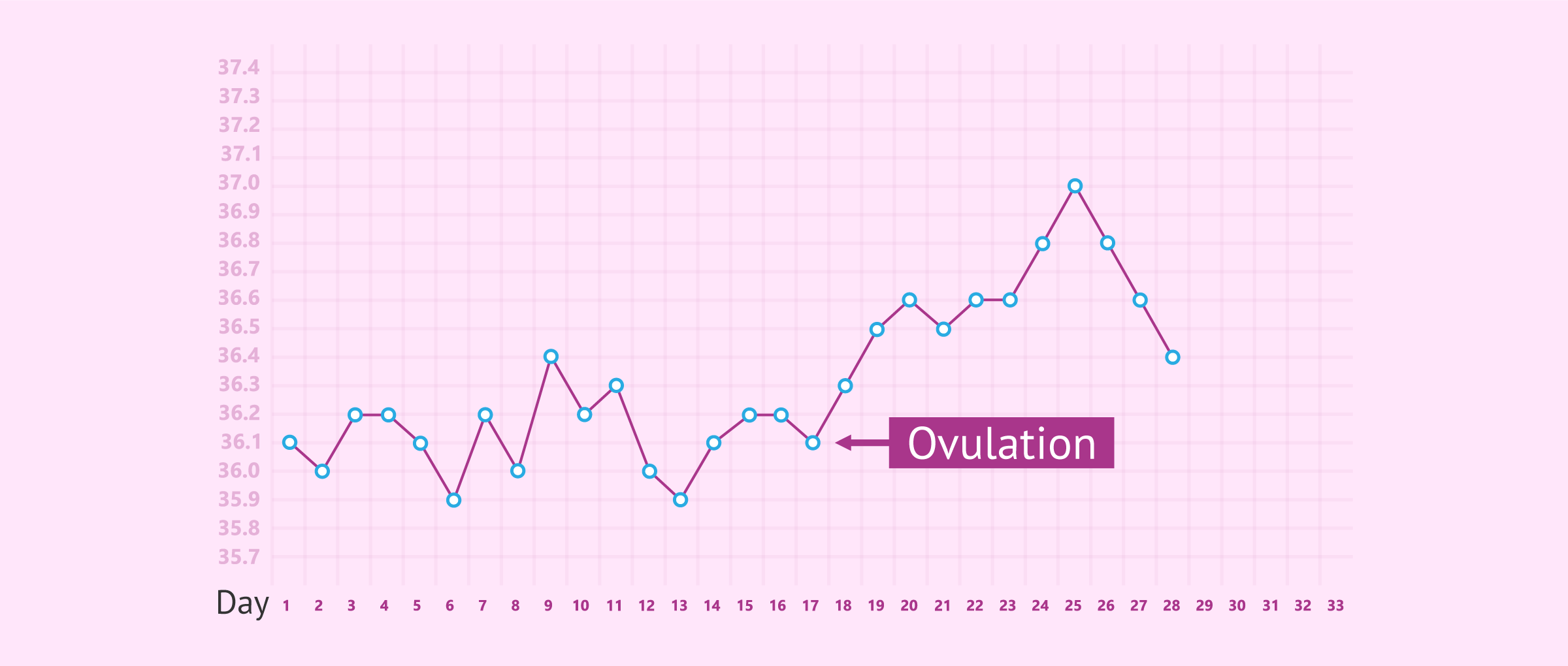 BASAL BODY Temperature Ovulation Tracker Printable BBT Chart Fertility Pregnancy Period Tracker Digital Download Pdf A4 Us Letter Etsy