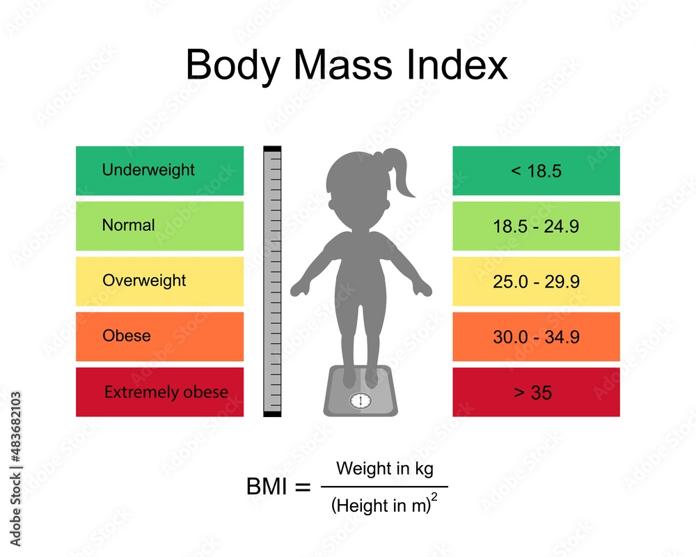 Cartoon Body Mass Index Infographics Concept Stock Vector Royalty Free 1389356654 Shutterstock