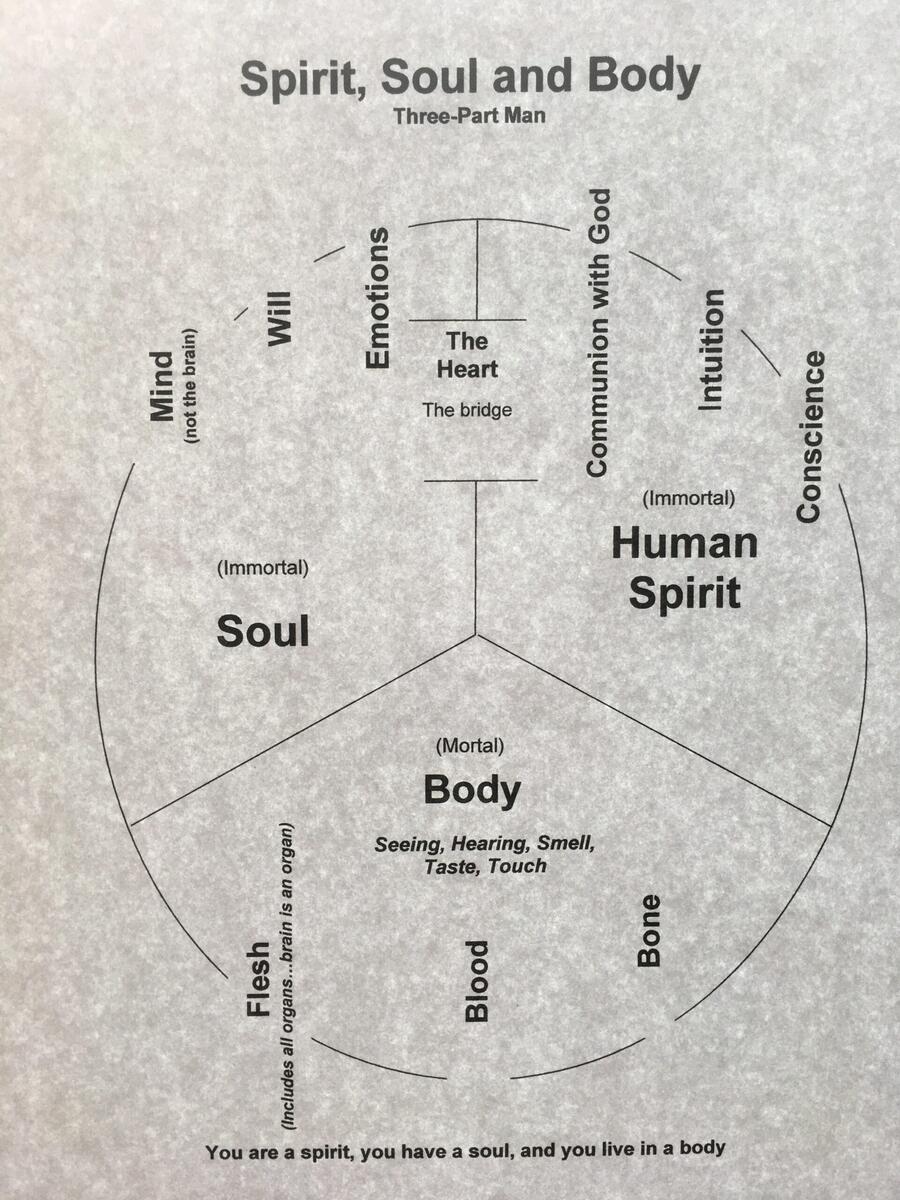Chart Spirit Soul And Body The Tripartite Man Charts Believers Bible School