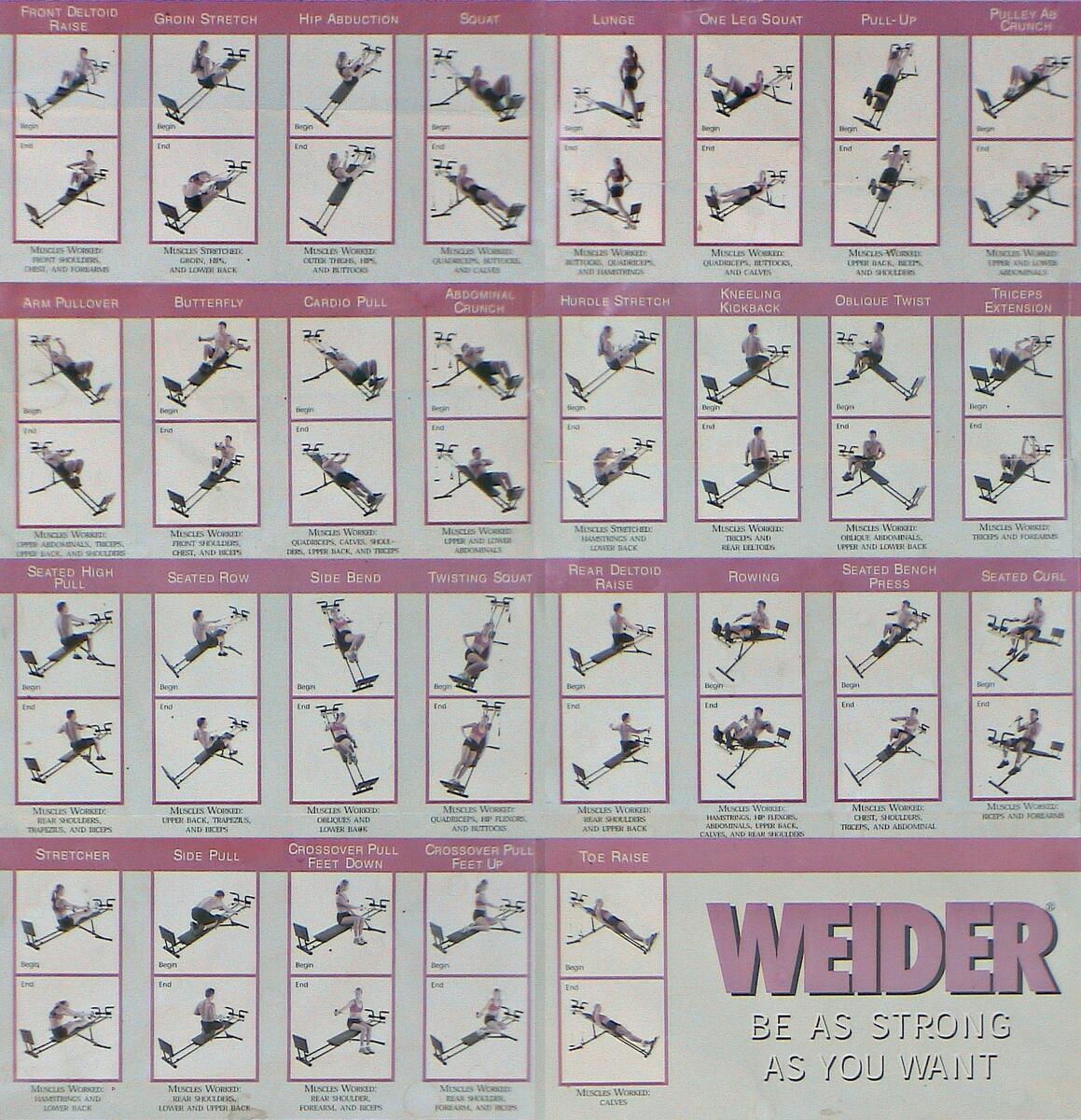 Workout Plan Weider Ultimate Body Works Storage Weider Ultimate Total Gym Workout Routines Chart Weider Total