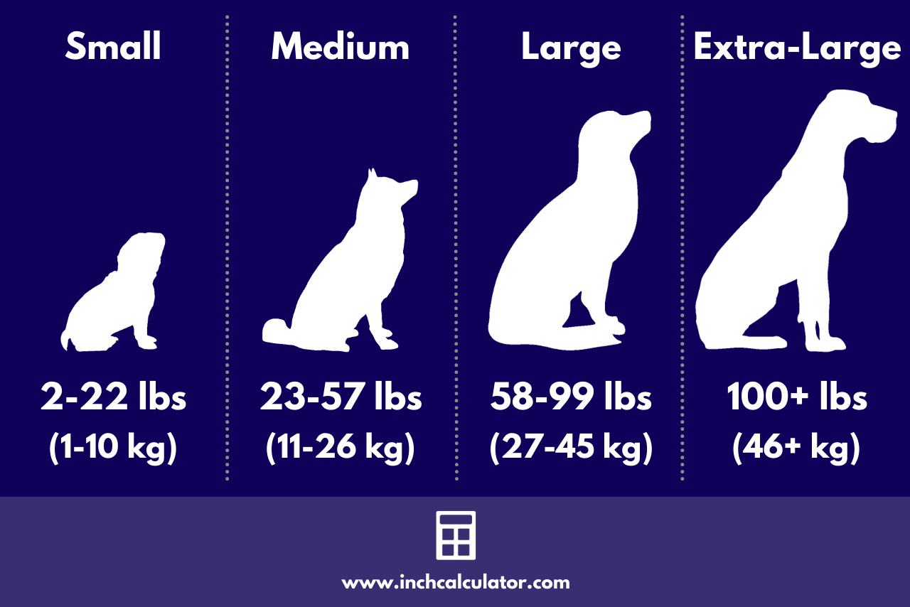 Cheap Weight Of A Medium Dog Shop Cheap Weight Of A Medium Dog Shop