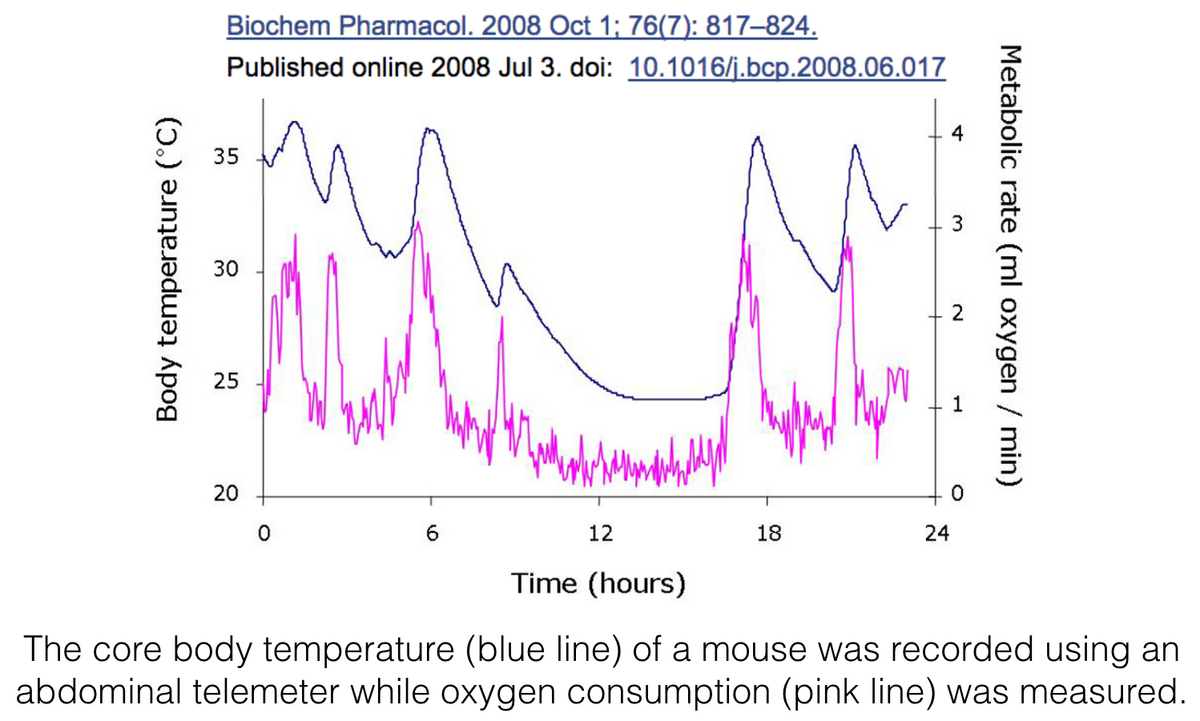 Thyroid Temperature Chart Understanding Thyroid Status