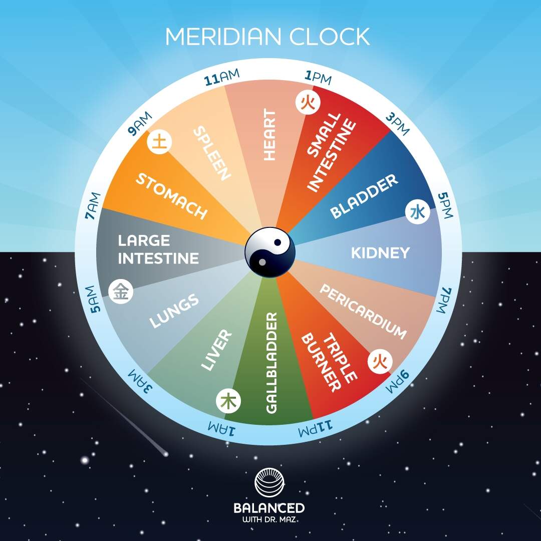 Chinese Meridian Organ Clock Chart Balanced Gold Coast Acupuncture Dry Needling Chinese Medicine
