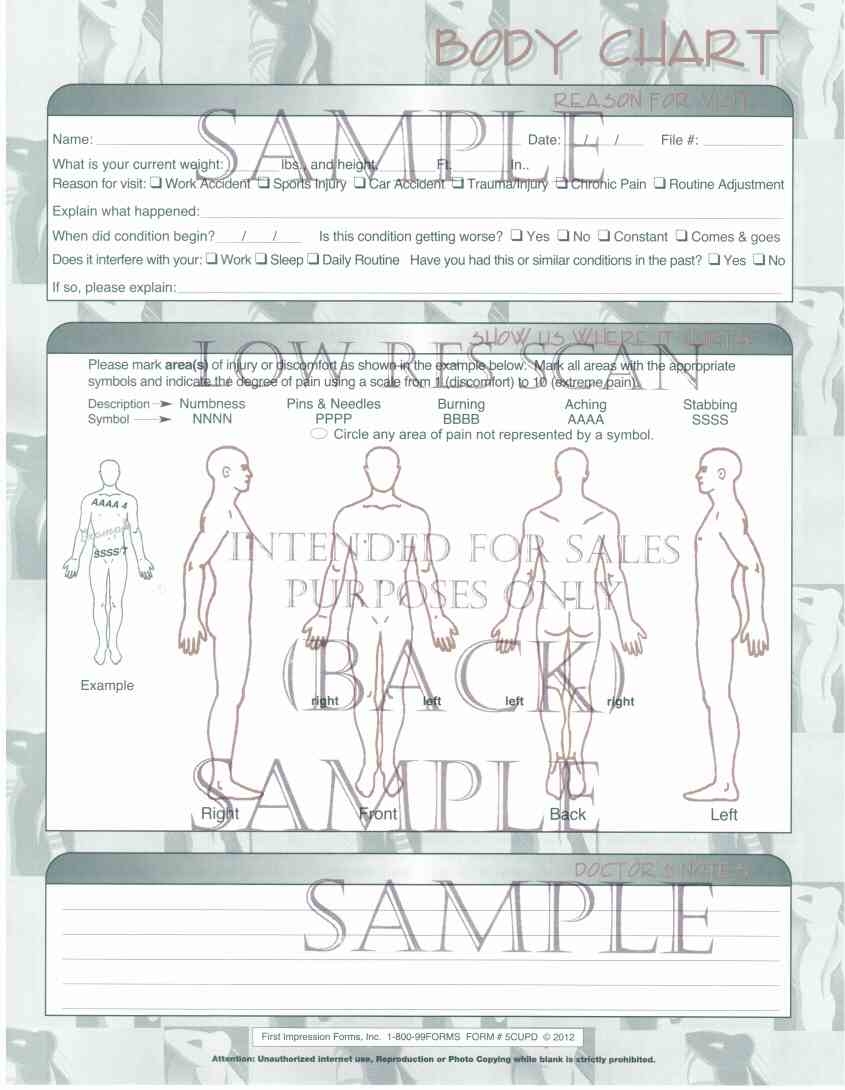 Chiropractic What S New Update Pain Chart 5CUPD 500 First Impression Forms Inc 800 993 6767