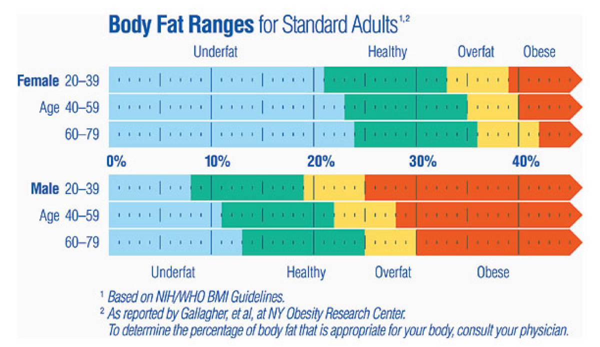 Client Health Summary And Assessment