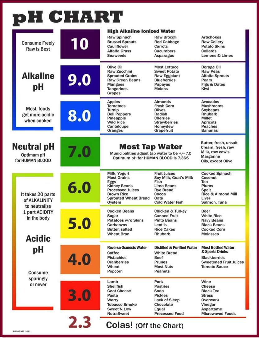 Correct Acid Alkaline Diet To Reduce Inflammation Joondalup Perth Chiropractor Lakeside Chiropractic Correct Acid Alkaline Diet To Reduce Inflammation Joondalup Perth Chiropractor Lakeside Chiropractic
