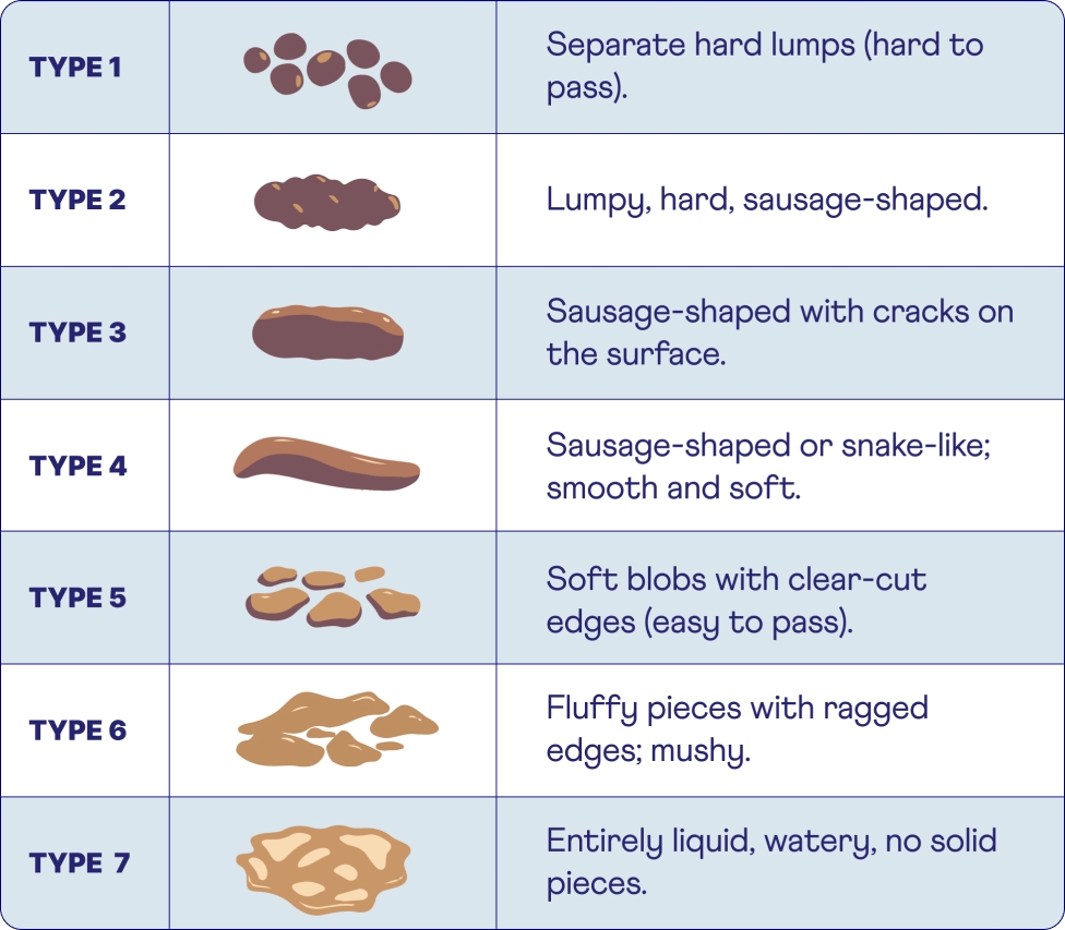 Cracking The Code The Bristol Stool Chart Heights Cracking The Code The Bristol Stool Chart Heights