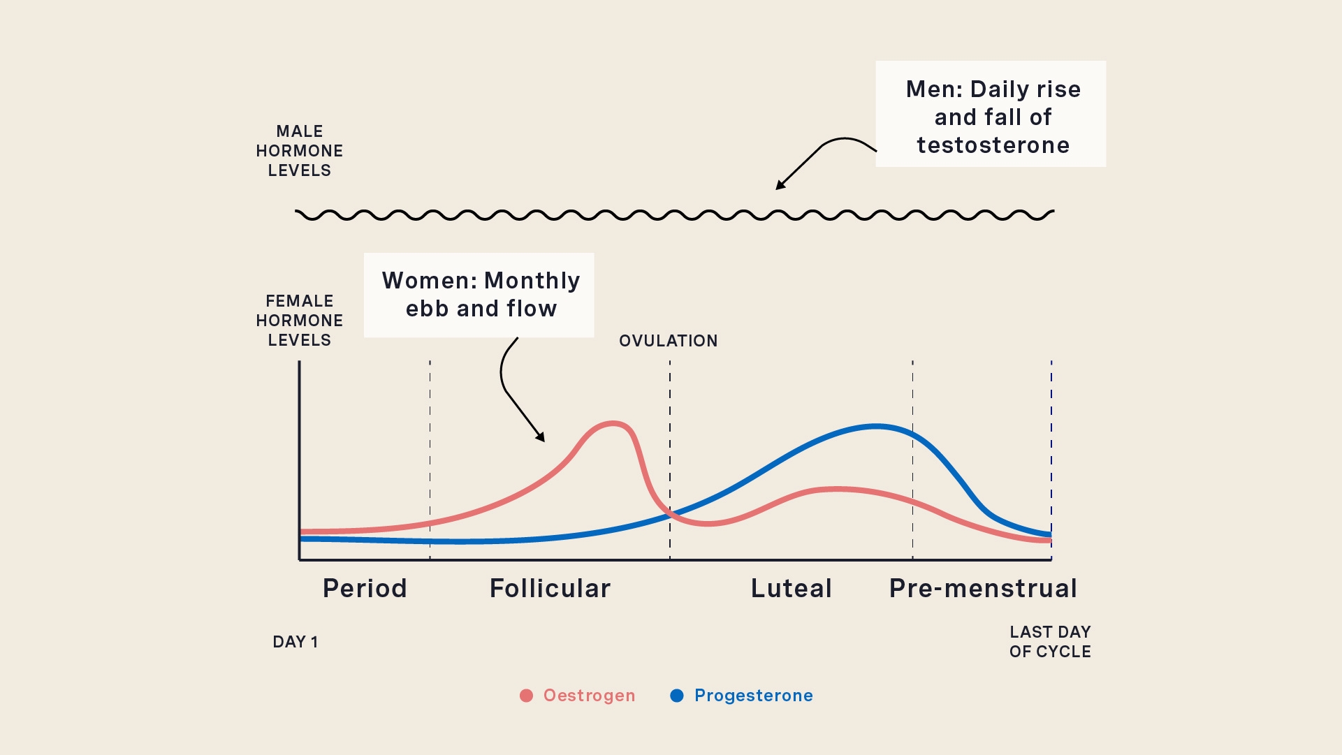 Cycle Syncing 101 By Ella Henry Gut Feelings