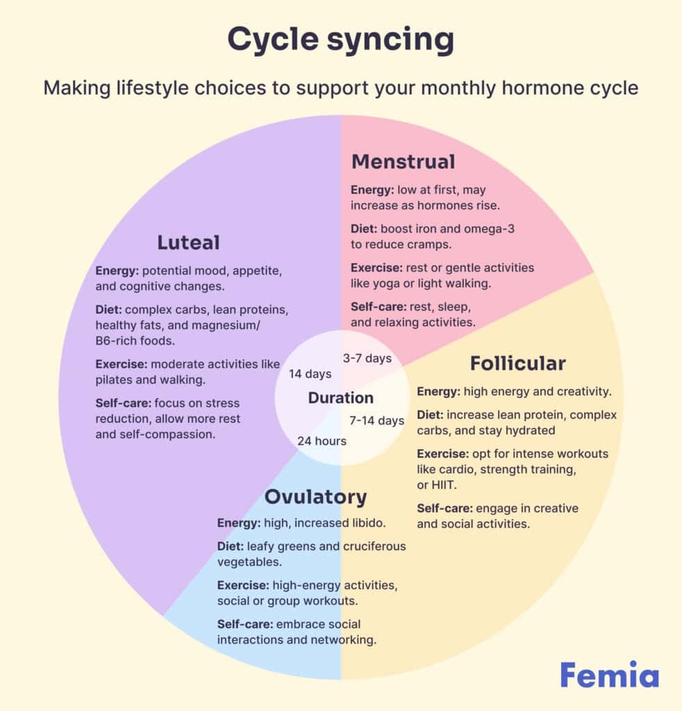 Menstrual Cycle Phases Explained Timeline Hormones Symptoms Superdrug Online Doctor