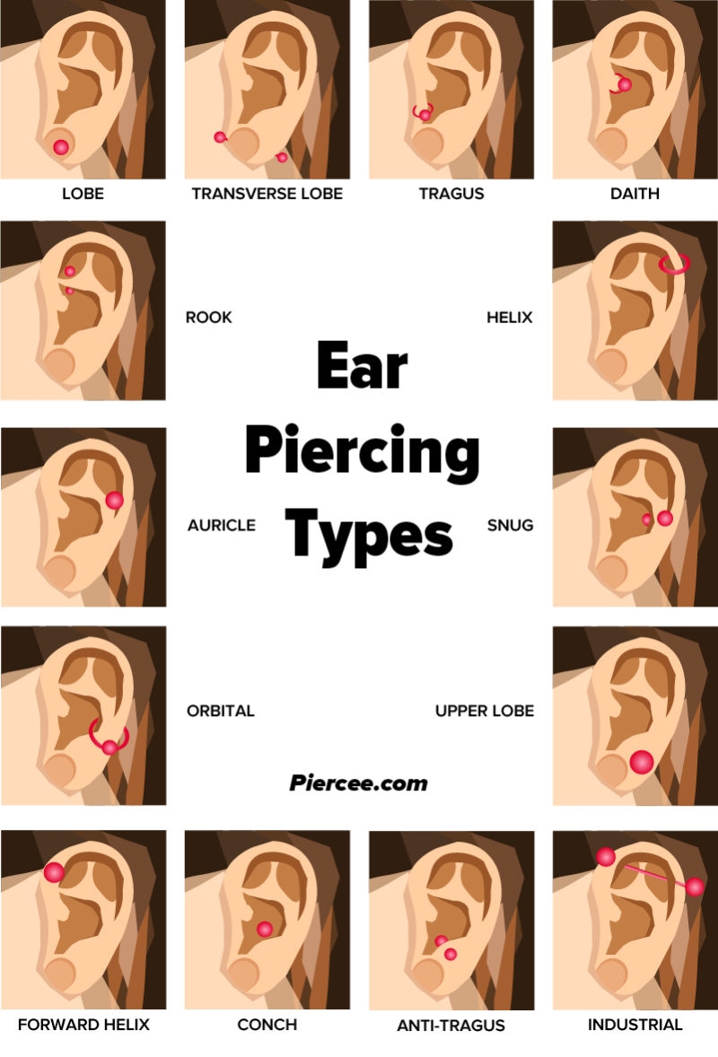 Daith Pain Ear Piercings Chart Pain Several Ear Piercings Pain Chart Pierced Ear Hurts Sore Ear Daith Pain Ear Piercings Chart Pain Several Ear Piercings Pain Chart Pierced Ear Hurts Sore Ear