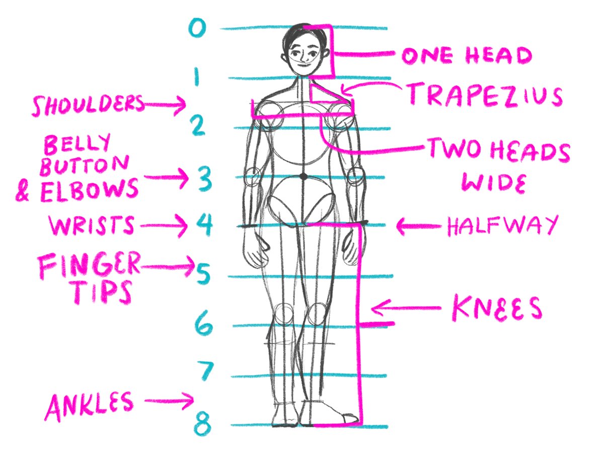 Day 22 How To Draw Body Proportions Bardot Brush Day 22 How To Draw Body Proportions Bardot Brush