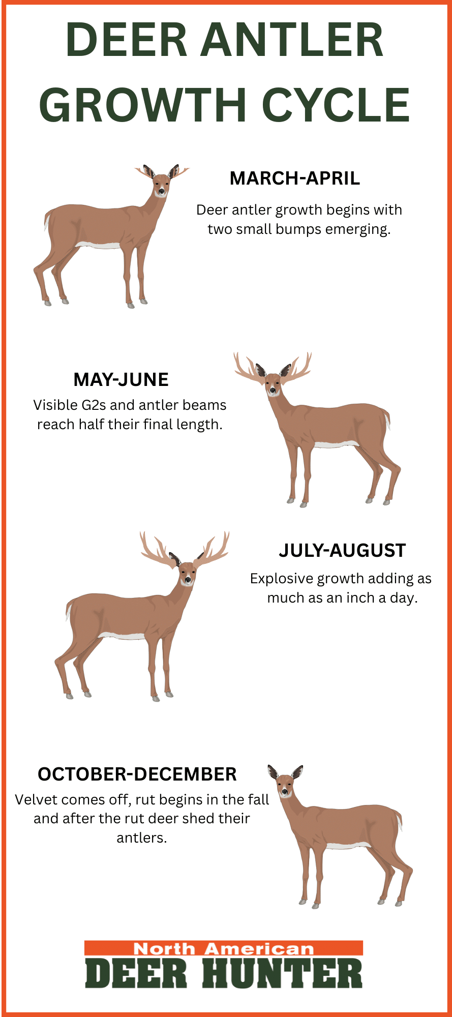 How To Age A Deer Field Stream
