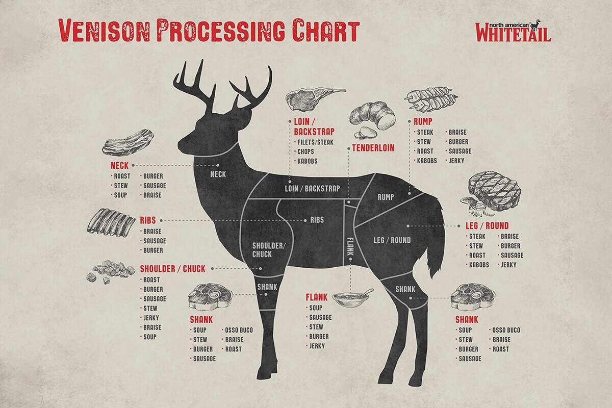 Deer Diagram Complete Guide To The Cuts Of Venison North American Whitetail