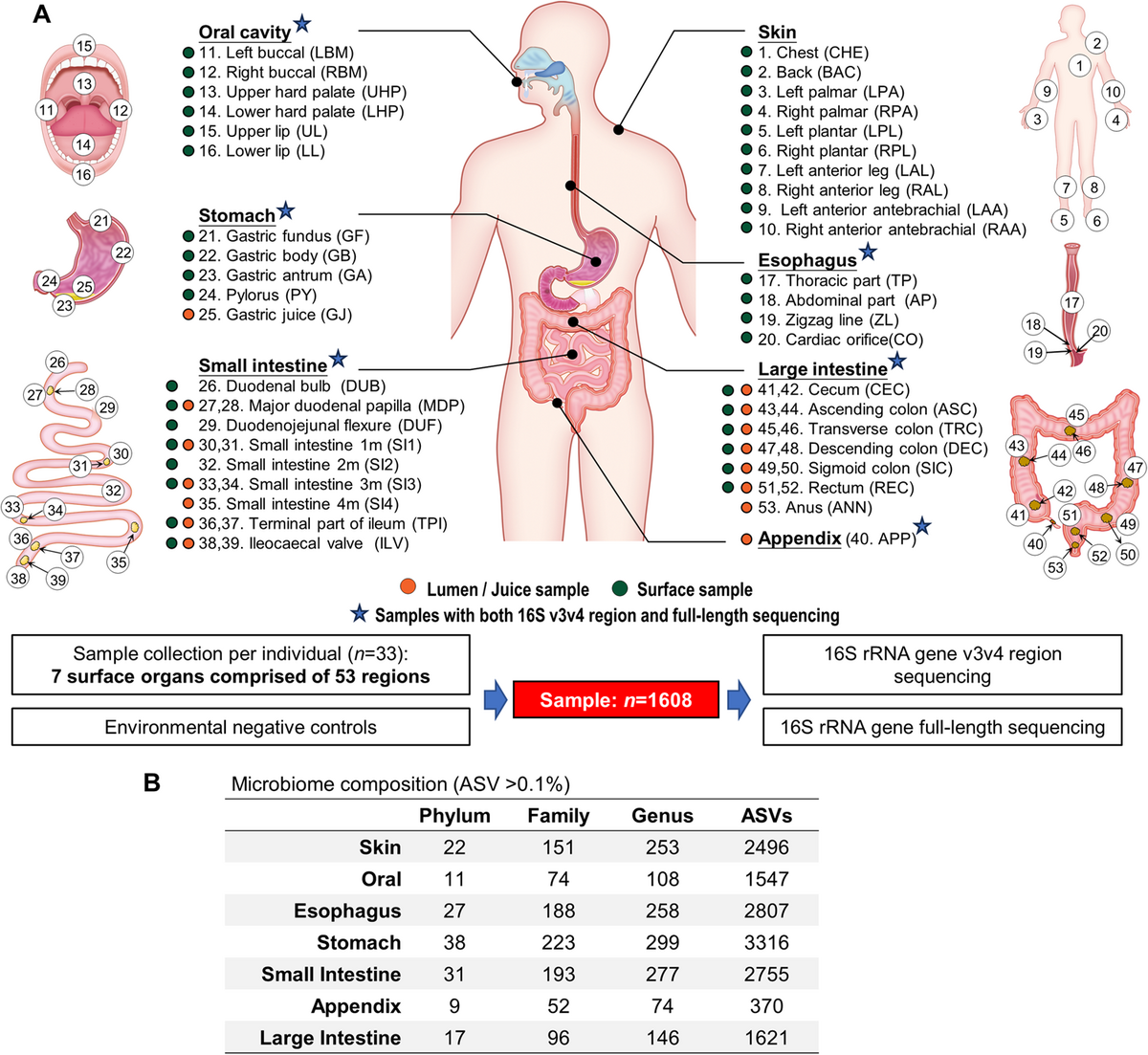 Defining The Biogeographical Map And Potential Bacterial Translocation Of Microbiome In Human Surface Organs Nature Communications Defining The Biogeographical Map And Potential Bacterial Translocation Of Microbiome In Human Surface Organs Nature Communications