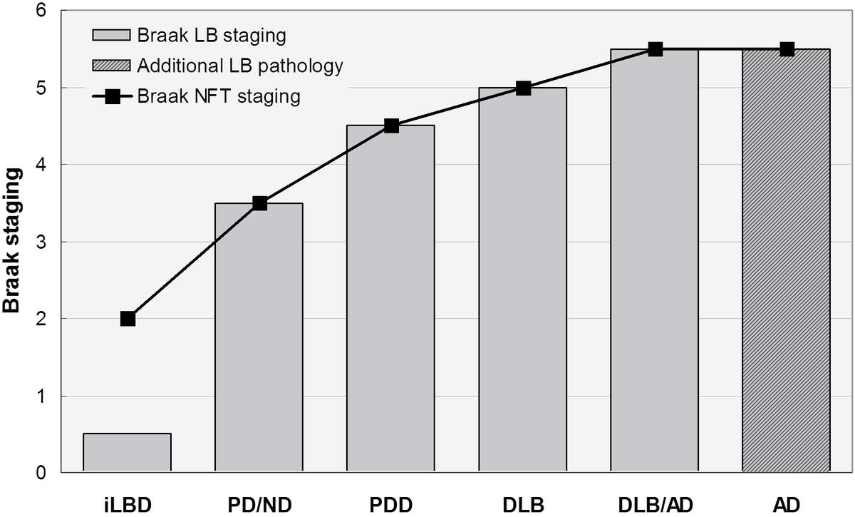Dementia With Lewy Bodies And Parkinson S Disease Dementia Current Perspectives
