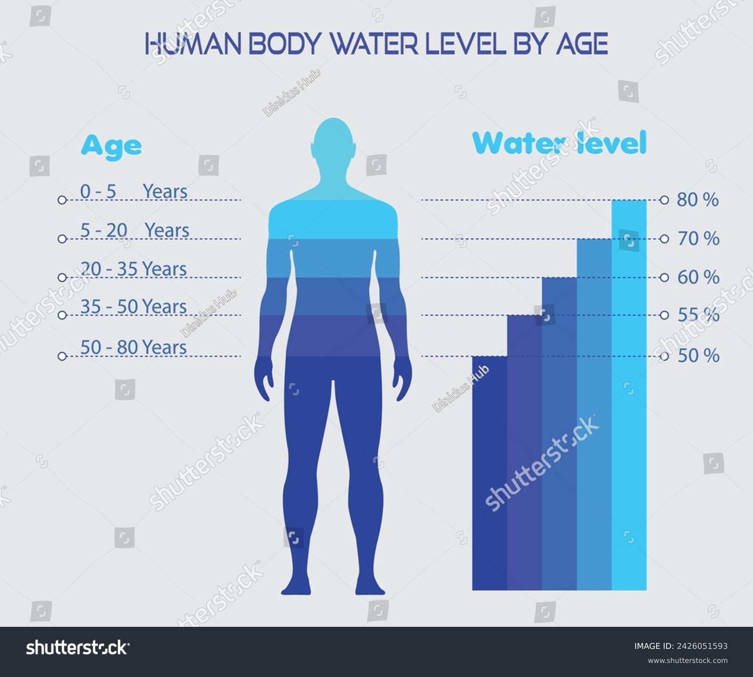 Difference Percentage Human Body Water Levelanatomywater Stock Vector Royalty Free 2426051593 Shutterstock