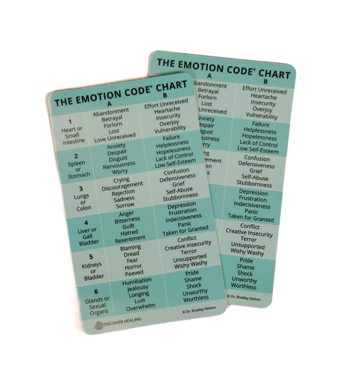 DISCOVER HEALING The Emotion Code Chart Of Emotions Magnet By Bradley Nelson Magnetic Table Card Pack Of 2 Amazon Ca Home